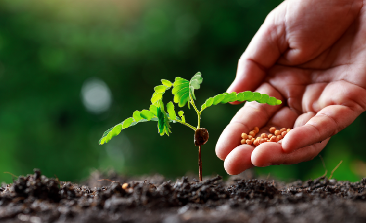 Cảnh báo: Cổ phiếu phân bón tạo đỉnh