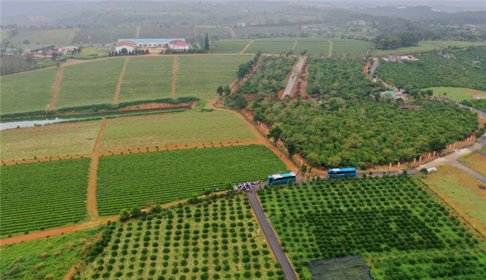 Đất ở tại nông thôn là gì? Những quy định về đất ở tại nông thôn