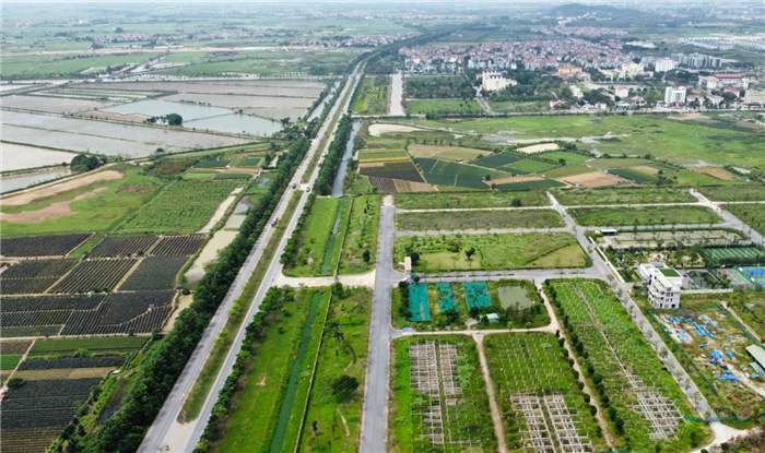 Loạt phiên đấu giá đất huyện ven Hà Nội gây xôn xao thị trường: Giải pháp nào để kiểm soát?