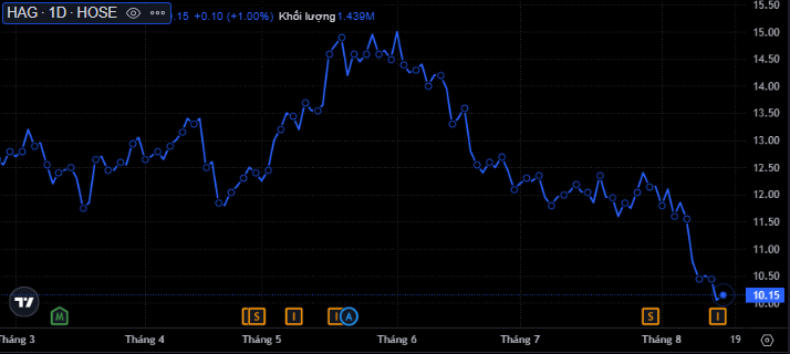 Thị giá  "bốc hơi" hơn 30%, sếp Hoàng Anh Gia Lai tranh thủ "gom" 200.000 cổ phiếu HAG