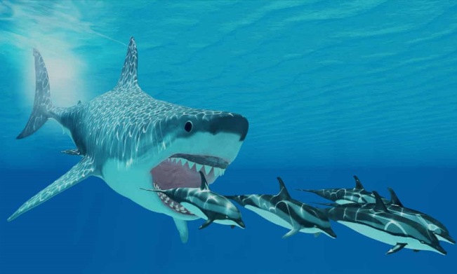 Theo dấu cá mập phiên 21/8: Khối ngoại đảo chiều "xả" hàng, bất ngờ một mã cổ phiếu công nghệ được "gom" ròng gần 300 tỷ đồng