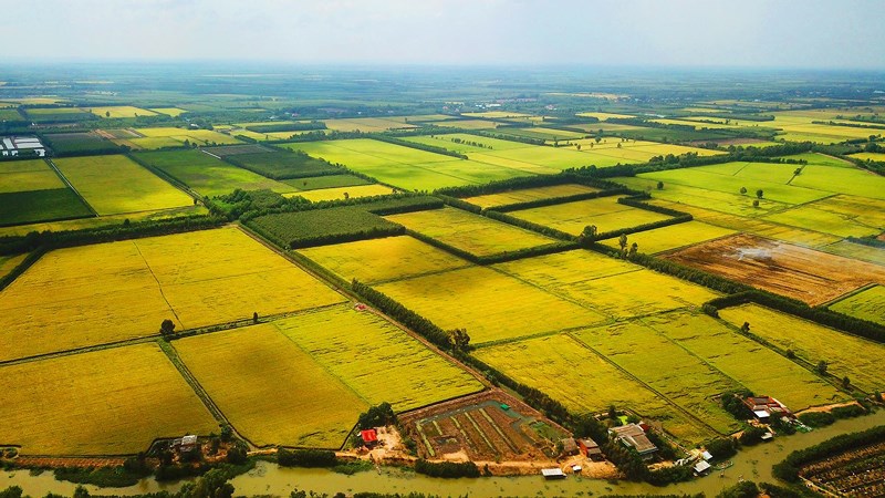 Bất động sản nông nghiệp (Agricultural real estate) là gì? Những cơ hợ và rủi ro khi đầu tư đất nông nghiệp