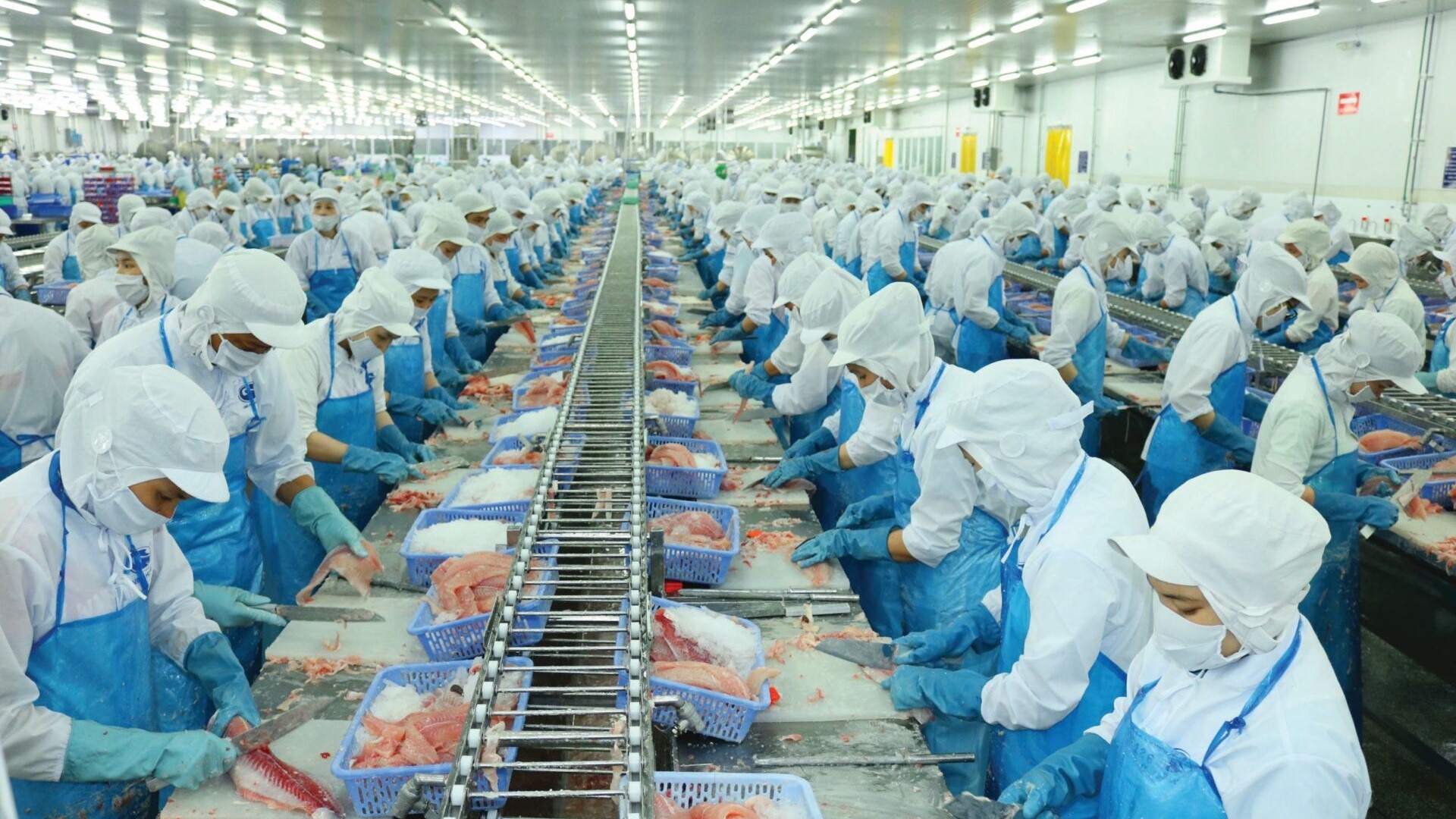 Vĩnh Hoàn báo lãi quý III tăng 70% so với cùng kỳ, khoản đầu tư vào DXS lỗ đậm