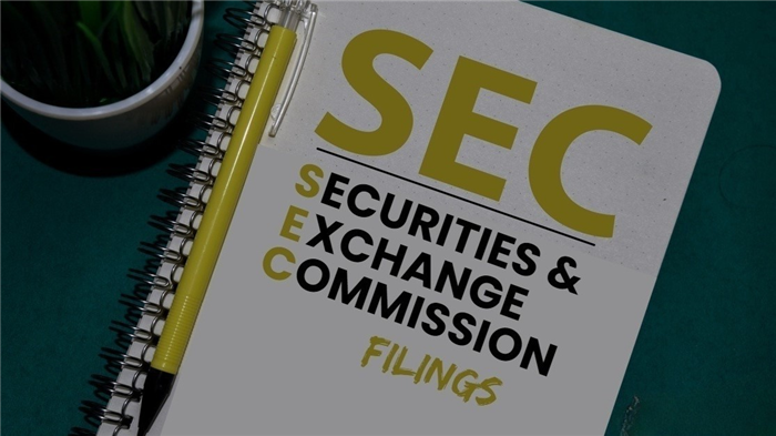 SEC Filings là gì? Các mẫu báo cáo 10-K, 10-Q, 8-K là gì?