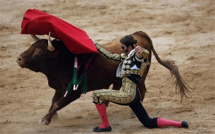 ‘Săn’ cổ phiếu khoẻ