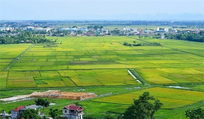 Đất đang tranh chấp là gì? Thủ tục giải quyết tranh chấp đất đai mới nhất Đất đang tranh chấp là gì? Thủ tục giải quyết tranh chấp đất đai mới nhất