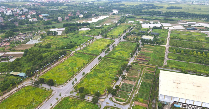 Đấu giá đất Yên Mỹ (Hưng Yên): Một lô có giá trúng cao gấp 20 lần khởi điểm, lãnh đạo địa phương nói "giá cao là điều tất nhiên"