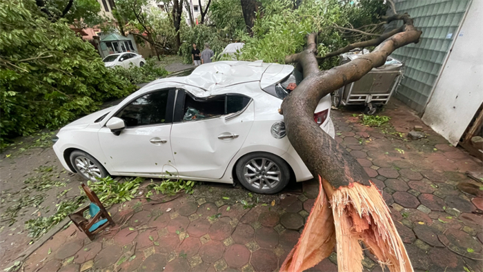 Doanh nghiệp bảo hiểm "thiệt hại" sau bão Yagi