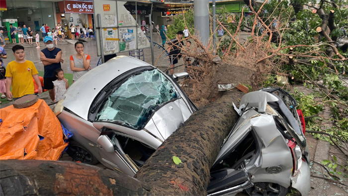 PVI “sấp mặt” với bão lũ rồi, anh em ạ!
