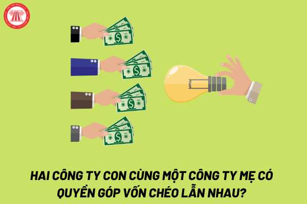 Sở hữu chéo là gì? Sở hữu chéo giữa hai doanh nghiệp là gì?
